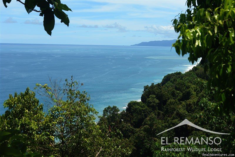 Bellavista - View from one of our trails | Luxury Rainforest Wildlife Lodge - Osa Peninsula | Puerto Jimenez, Costa Rica | Hotels & Resorts | Image #1/11 | 