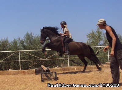 Horse riding and yoga vacations | Yoga, walking and holistic holidays in Greece. | Image #12/12 | 