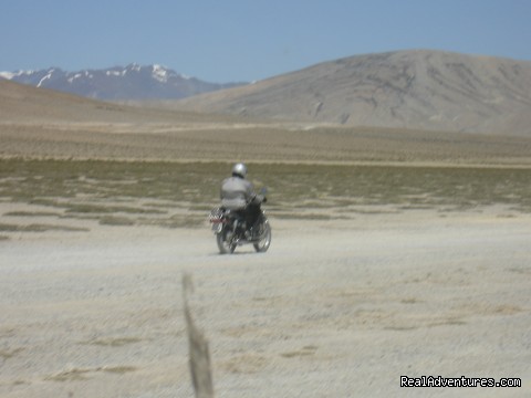 India Nepal Bhutan  Motor Cycle Tours- 2011 Pang Plains 14000 feet