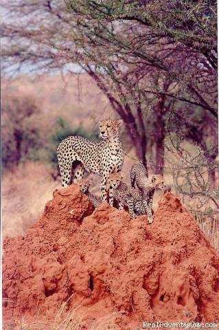 Kenya, Tanzania & Uganda Safaris, Tours & Holidays Photo