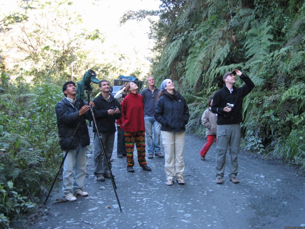 wildlife observation in Manu cloudforest | Explore Manu Rainforest and go Trekking in Peru | Image #3/5 | 
