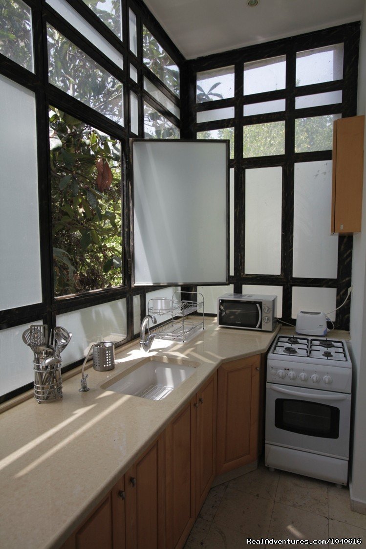 Cook and admire a native fruit tree | Stylish Vacation Apartments in Jerusalem | Image #7/14 | 