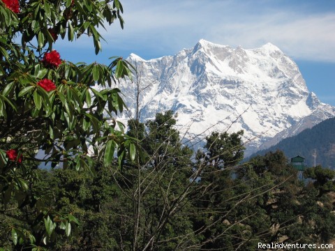 Trekking in Indian Himalayas High Mountains and Flowers