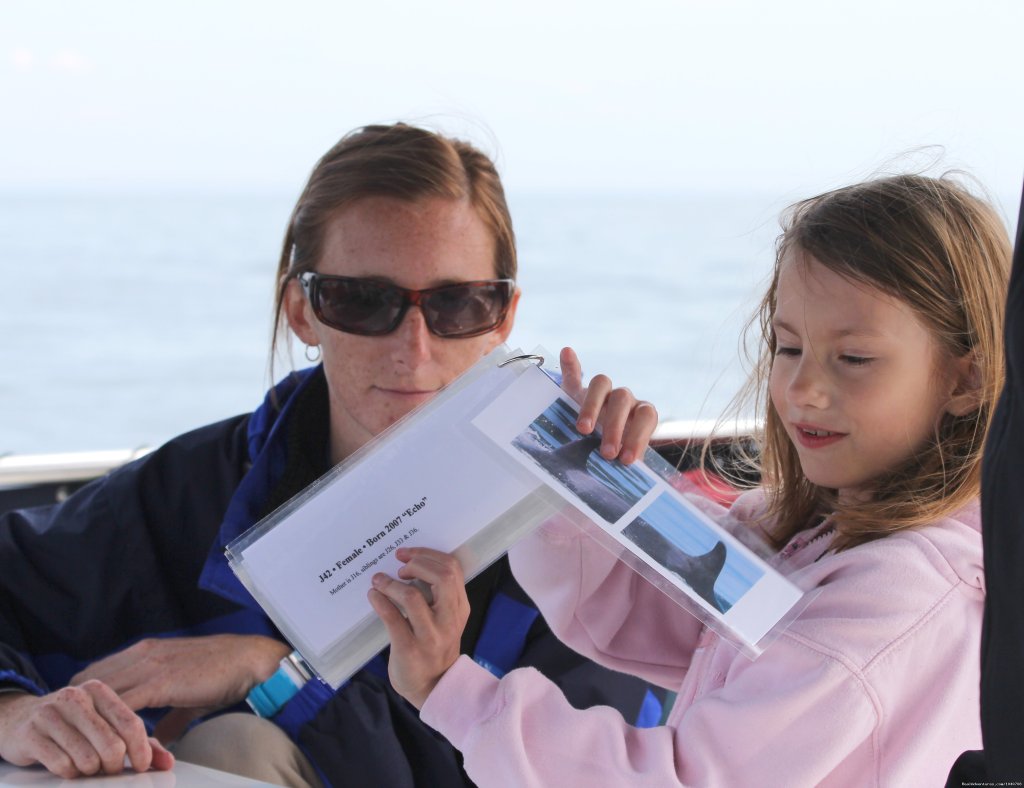 Naturalist Serena and Young Guest | Whale Watch& Wildlife Tours April - October | Image #23/24 | 