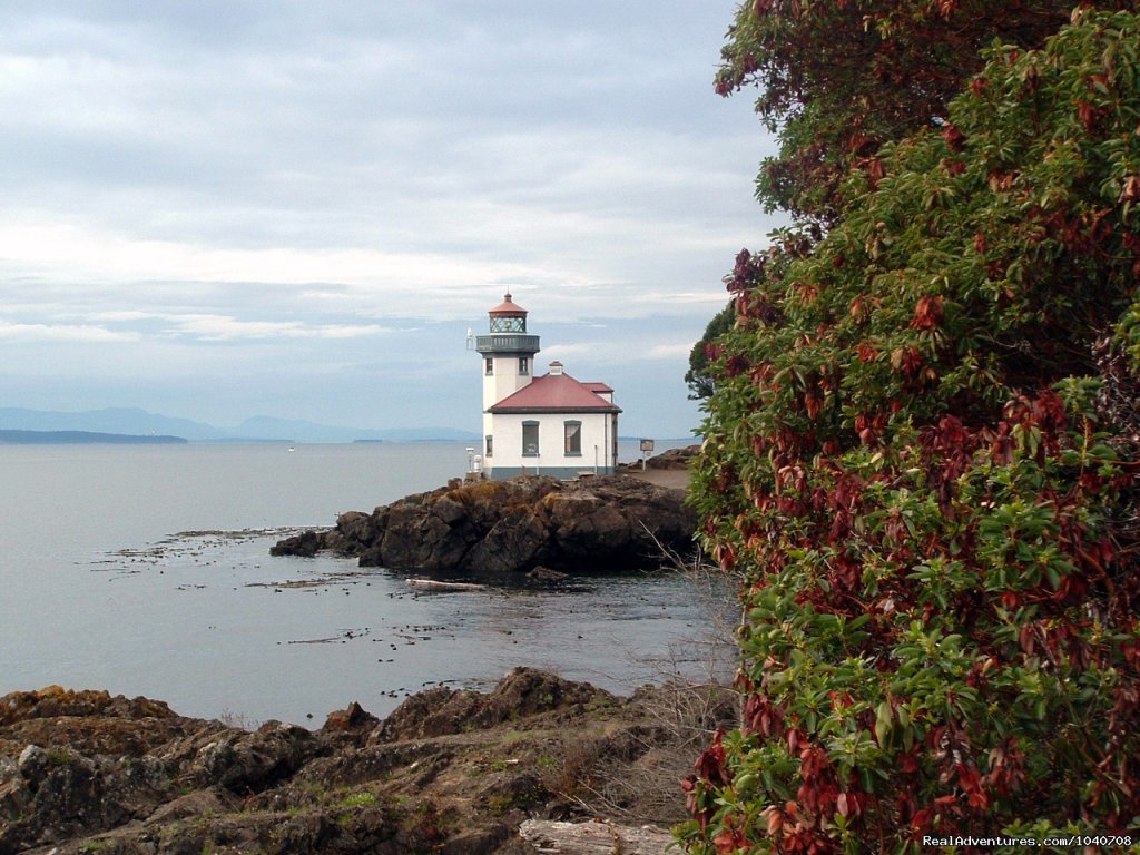 Light House | Whale Watch& Wildlife Tours April - October | Image #24/24 | 