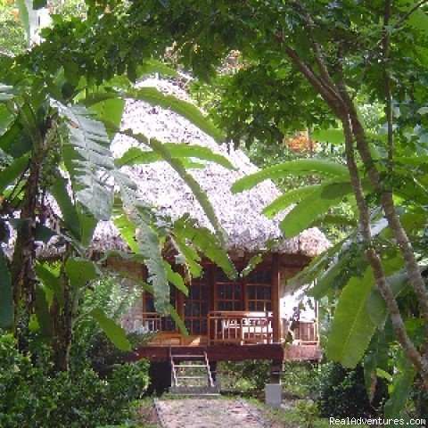 Nicobari Cottage - Barefoot at Havelock | Luxury Eco-Lodge in the Andaman Islands | Image #2/3 | 