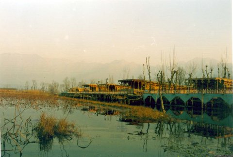 Group of Our House Boats [ Dal Lake]
