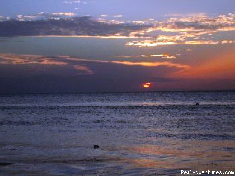 Errol's Sunset: Pirate's Paradise Photo #1
