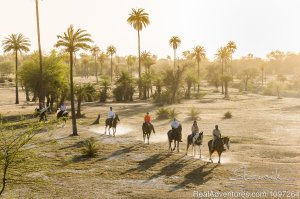 Horsebacksafaris on Marwari Horses in Rajasthan | Udaipur, India | Horseback Riding & Dude Ranches