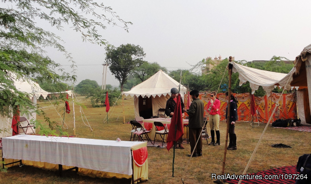 Horsebacksafaris on Marwari Horses in Rajasthan Romantic Udaipur