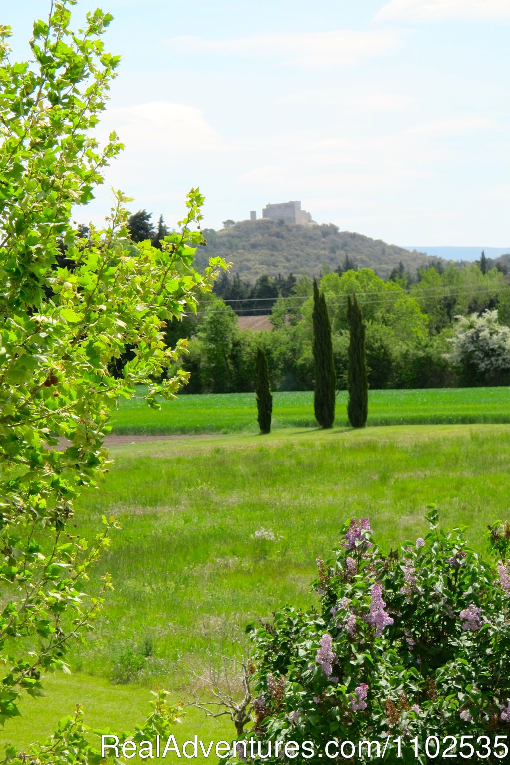 View on Thouzon Castle from the property, | Charming Holidays Rental & Guest House | Image #11/22 | 