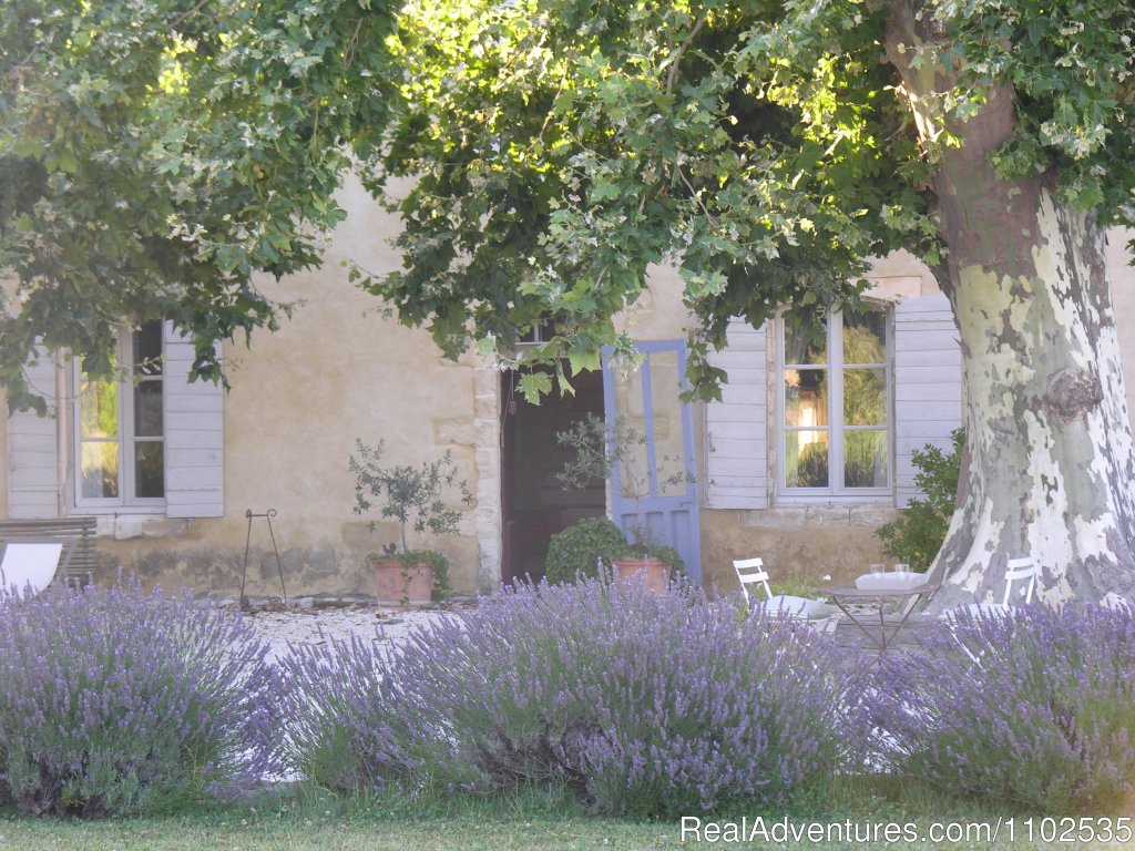 Entrance Garance with Lavanders | Charming Holidays Rental & Guest House | Image #15/22 | 