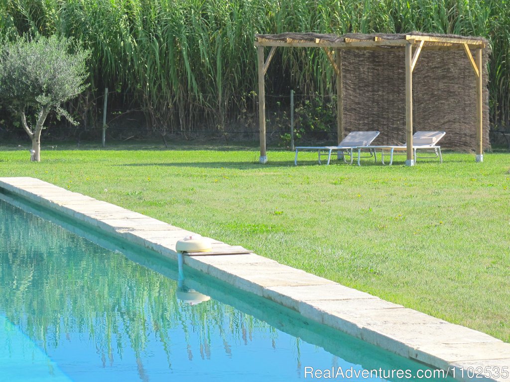 Ambiance around overflowing swimming pool | Charming Holidays Rental & Guest House | Image #17/22 | 