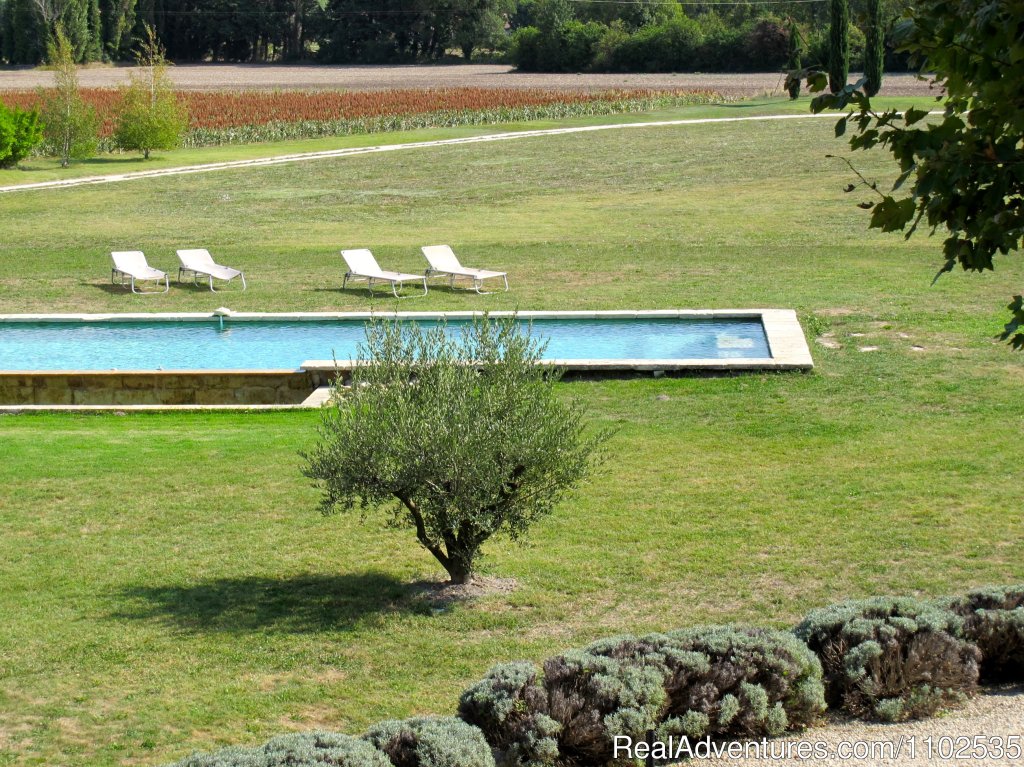 View on Swimming pool & field | Charming Holidays Rental & Guest House | Image #21/22 | 
