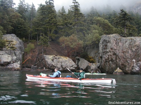 cypress island  sea kayaking
