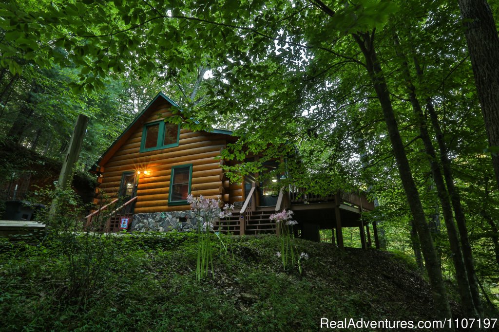 Jesse's Place - 2BR/2BA not pet-friendly | Amazing accommodations in the North Ga Mountains | Image #3/26 | 