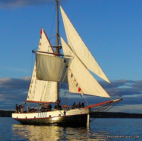 Whale Watching Jolly Breeze of St Andrews