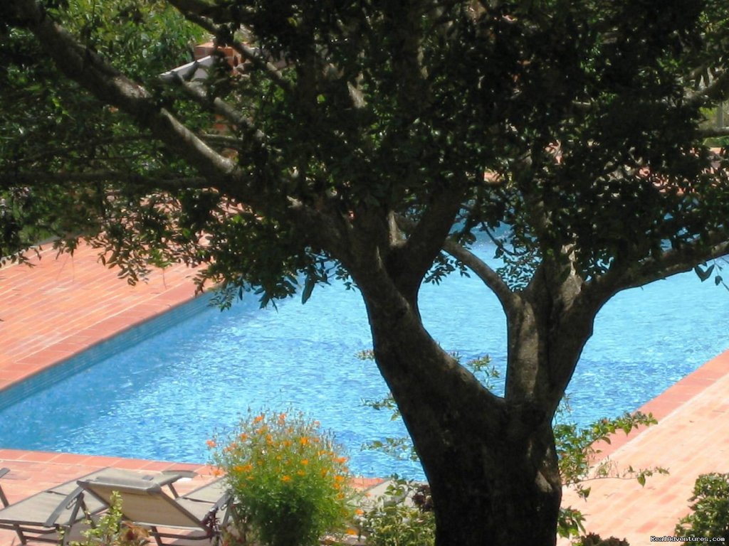 Swimming pool | Cabins/Cottages for Rent in Altos del Maria | Image #5/22 | 