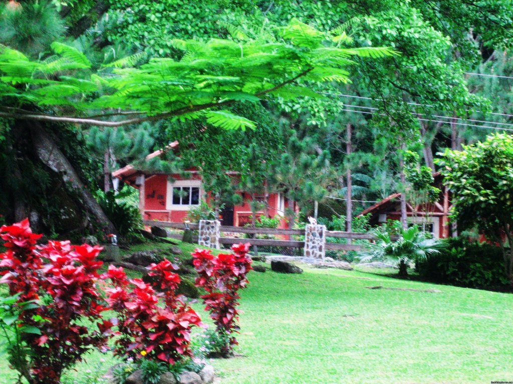 View to cabins | Cabins/Cottages for Rent in Altos del Maria | Image #14/22 | 