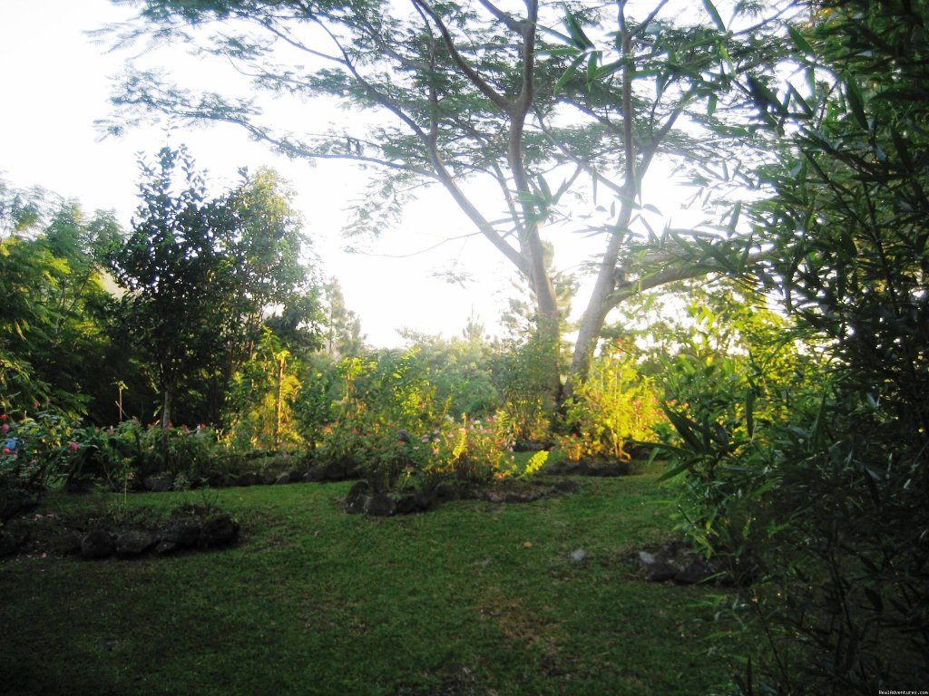 Garden Views Of Cabins | Cabins/Cottages for Rent in Altos del Maria | Image #17/22 | 