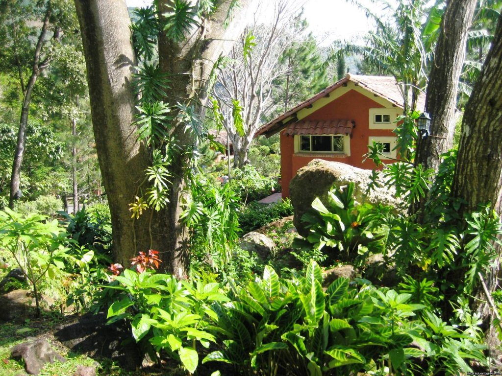 Cabin Gardens | Cabins/Cottages for Rent in Altos del Maria | Image #19/22 | 