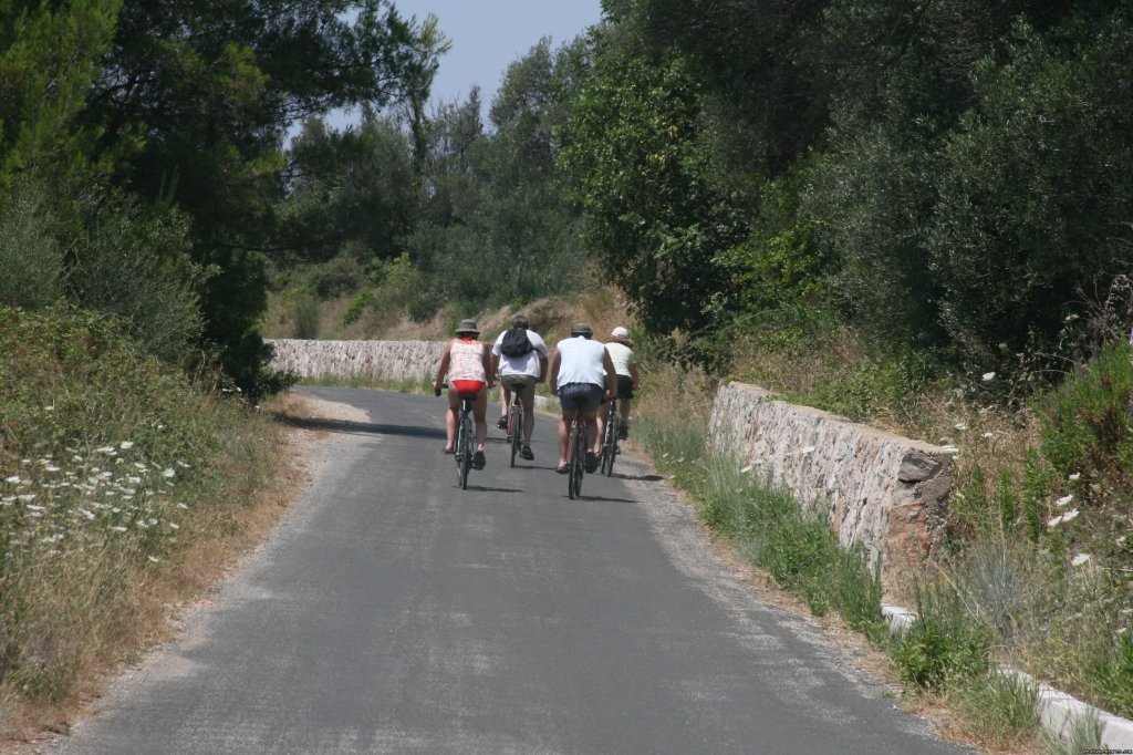 Bicycle island roads | Croatia: Kayak, Cycle, Hike: 1 Day-1 Week Tours | Image #12/19 | 