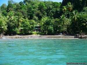 Educational Travel in the Osa Peninsula,Costa Rica | Puntarenas, Costa Rica | Summer Camps & Programs