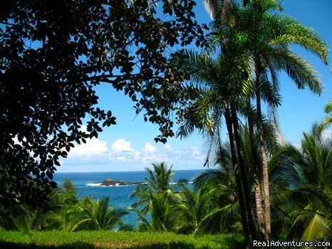 Beautiful views | Educational Travel in the Osa Peninsula,Costa Rica | Image #2/3 | 