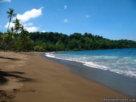 A beach to yourself | Educational Travel in the Osa Peninsula,Costa Rica | Image #3/3 | 