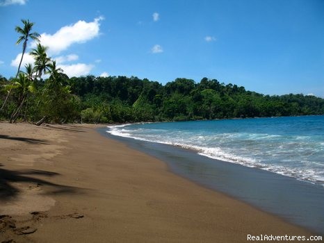 Educational Travel in the Osa Peninsula,Costa Rica: A beach to yourself