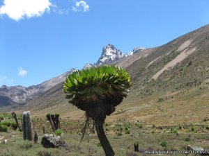 Go To Mt kenya Trekking | Central, Kenya Sight-Seeing Tours | Great Vacations & Exciting Destinations