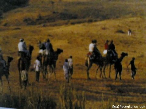 Explore Colourfulculture Of India wildlife tour Explore Colourfulculture Of India wildlife tour