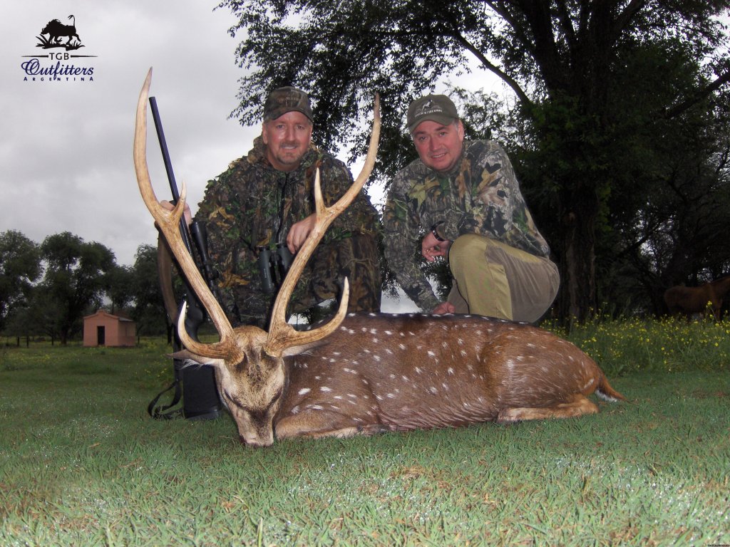 Axis Deer | Hunts in Argentina | Image #4/5 | 