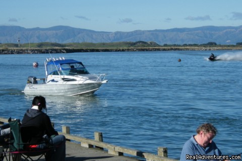 KOWHAI COURT MOTEL APARTMENTS: Manawatu River Estuary