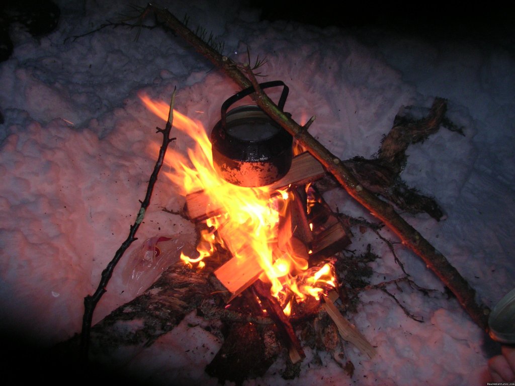 Coffee soon ready | Dogsledding in remote nationalpark | Image #4/8 | 