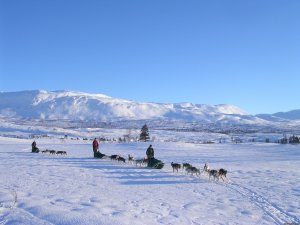 Dogsledding in remote nationalpark