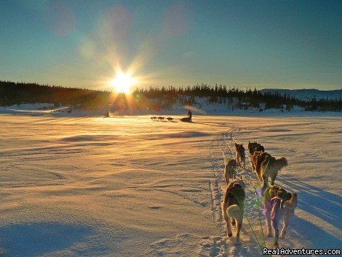 Ride on | Dogsledding in remote nationalpark | Image #6/8 | 