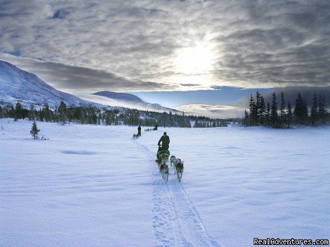 Silent travel | Dogsledding in remote nationalpark | Image #7/8 | 
