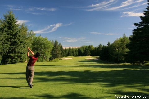 Ann Arbor Marriott Ypsilanti at Eagle Crest Resort: 18 Hole Golf Digest 4 Diamond Course