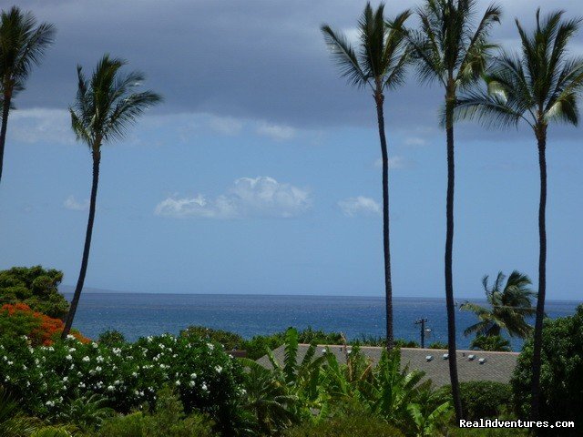 Full on ocean view from all rooms and lanai | OCEAN VIEW FROM ALL ROOMS-Top Floor, End Unit | Image #4/18 | 