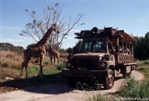 Animal Kingdom's Kilimanjaro Safaris - Disney World Vacation Packages 