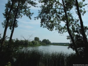 Cottage in Nature reserve between Bruges & Ghent | Assenede, Belgium | Vacation Rentals