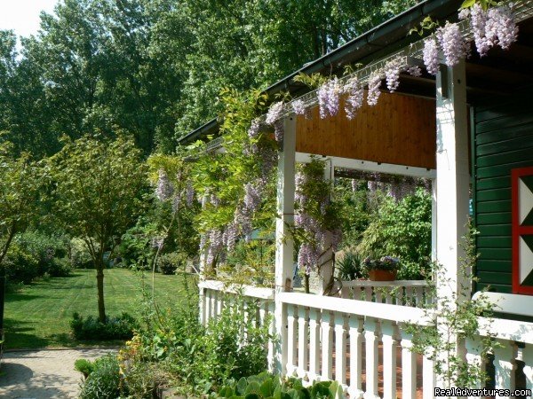 View garden | Cottage in Nature reserve between Bruges & Ghent | Image #2/22 | 