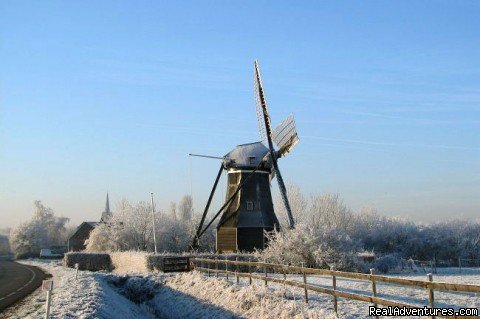 Zeeland in winter | Cottage in Nature reserve between Bruges & Ghent | Image #10/22 | 