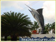 Accomodation in Semporna, Gateway to Sipadan: Sailfish, Landmark of Semporna Borneo Malaysia
