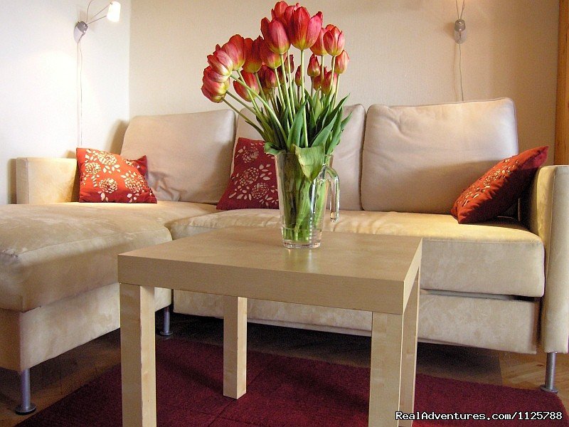 Lounge/Living | KrakowRentals - Kazimierz Apartment | Image #4/18 | 