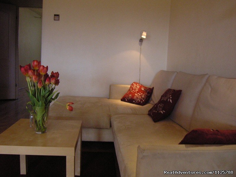 Lounge/Living | KrakowRentals - Kazimierz Apartment | Image #7/18 | 