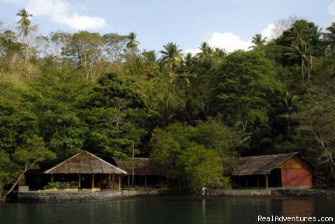 Macro,Muck Diving in Lembeh Strait /Indonesia: Nomad Adventure Divers Resort 