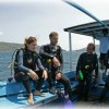 Macro,Muck Diving in Lembeh Strait /Indonesia Photo #1