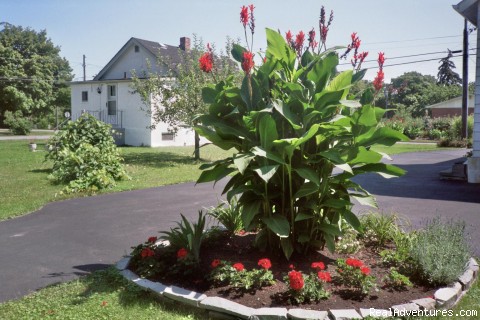 Williams Gate Bed and Breakfast Private Suites: Photo #9